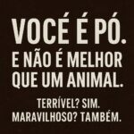 Você é pó